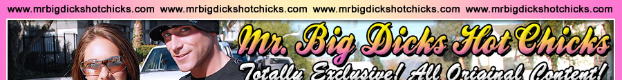 Mr Big Dick's Hot Chicks