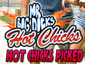 Mr Big Dick's Hot Chicks