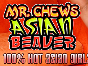 Mr Chew's Asian Beaver